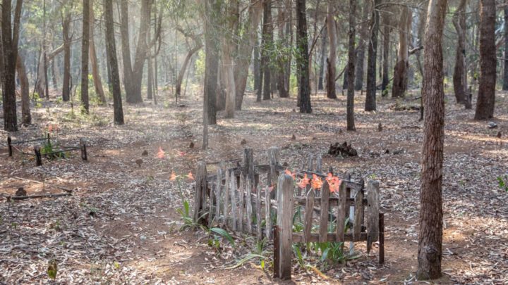 Peel Island cemetery