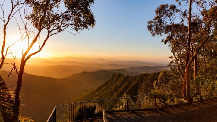 Take in a spectacular sunrise or sunset over the McPherson Range and the Albert Valley from Moonlight Crag at O’Reilly’s Rainforest Retreat. 