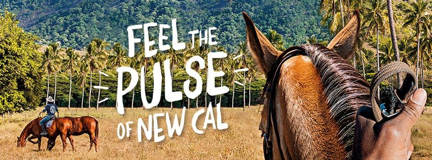 Feel the Pulse of New Cal
