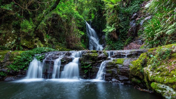 Elabana Falls in Lamington National Park is just one of the many natural treasures tucked away in the Gold Coast hinterland, waiting to be discovered.