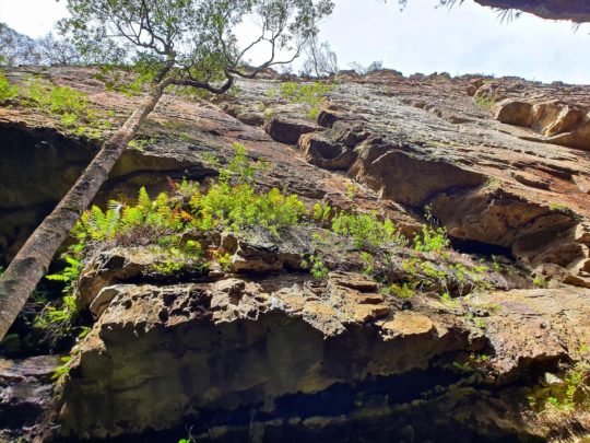 devils hole blue mountains