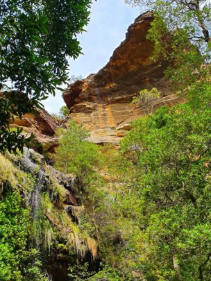 devils hole blue mountains