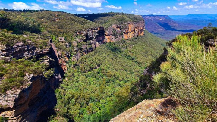 Therabulat Lookout, Blue Mountains