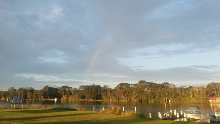 JD travelled to the south coast of NSW to see how it was recovering after the bushfires. Source: JD Kew