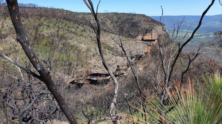 Narrow Neck Trail