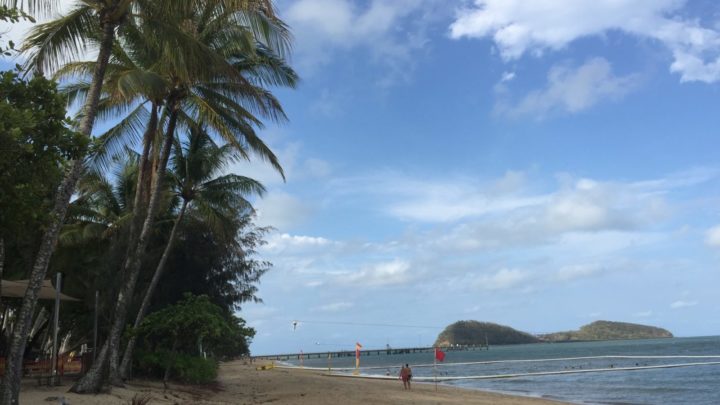 travel to palm cove