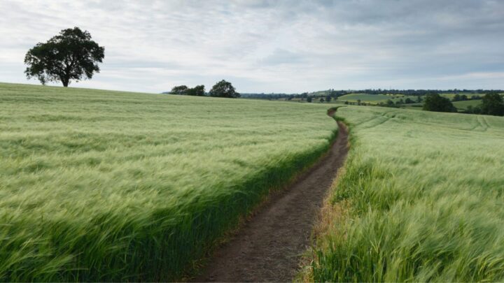 You can find your own path that suits your wants and needs in retirement. Source: Getty.