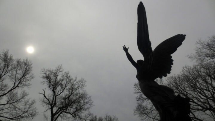 In these bleak, troubling times, a little fairy dust is just what's needed. Source: Getty