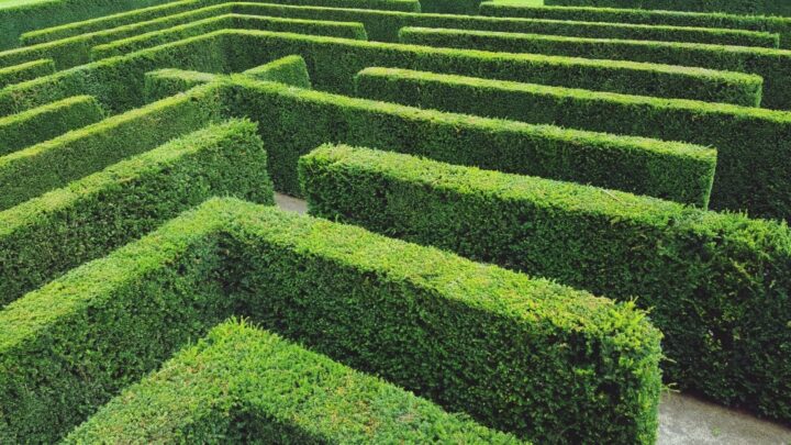 The aged care system can be a maze. Here's how to know if you're doing it right. Source: Getty.
