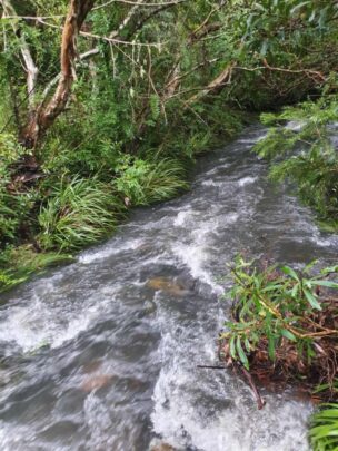 Lane Cove National Park