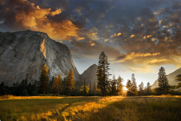 Yosemite National Park 
Source: Getty