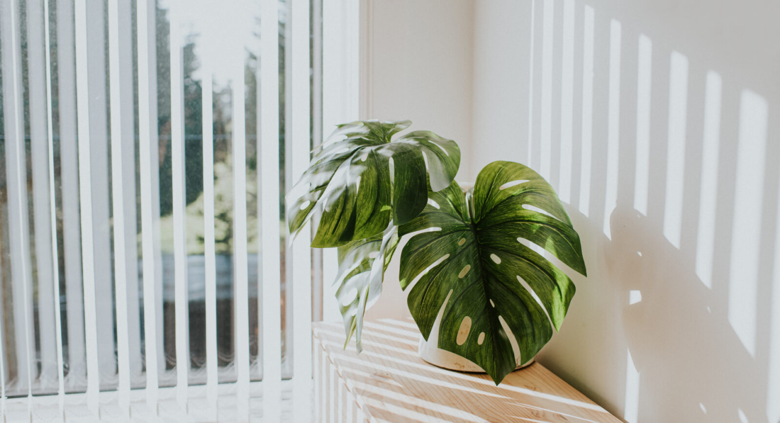 Sunlight for plants. 