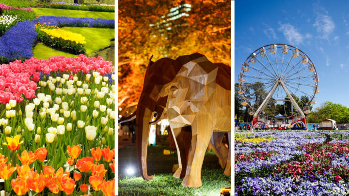 5 holidays perfect for garden and flower lovers