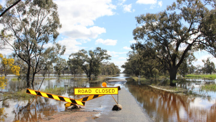 Dorothea Mackellar wrote of this magnificent, devastating land. Source: Getty