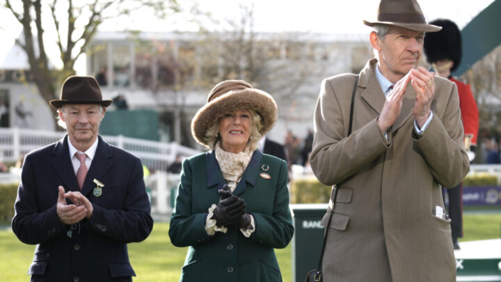 camilla at races gt