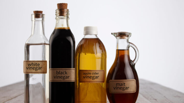 vinegar types gt