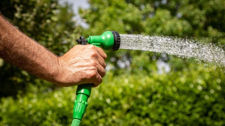 Now is a good time to get your garden ‘drought ready’ with these tips from gardening expert, Roger Fox. Image source: Getty