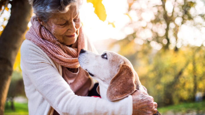 Our pets were put on earth to give us that most precious gift - unconditional love. Source: Getty Images. 
