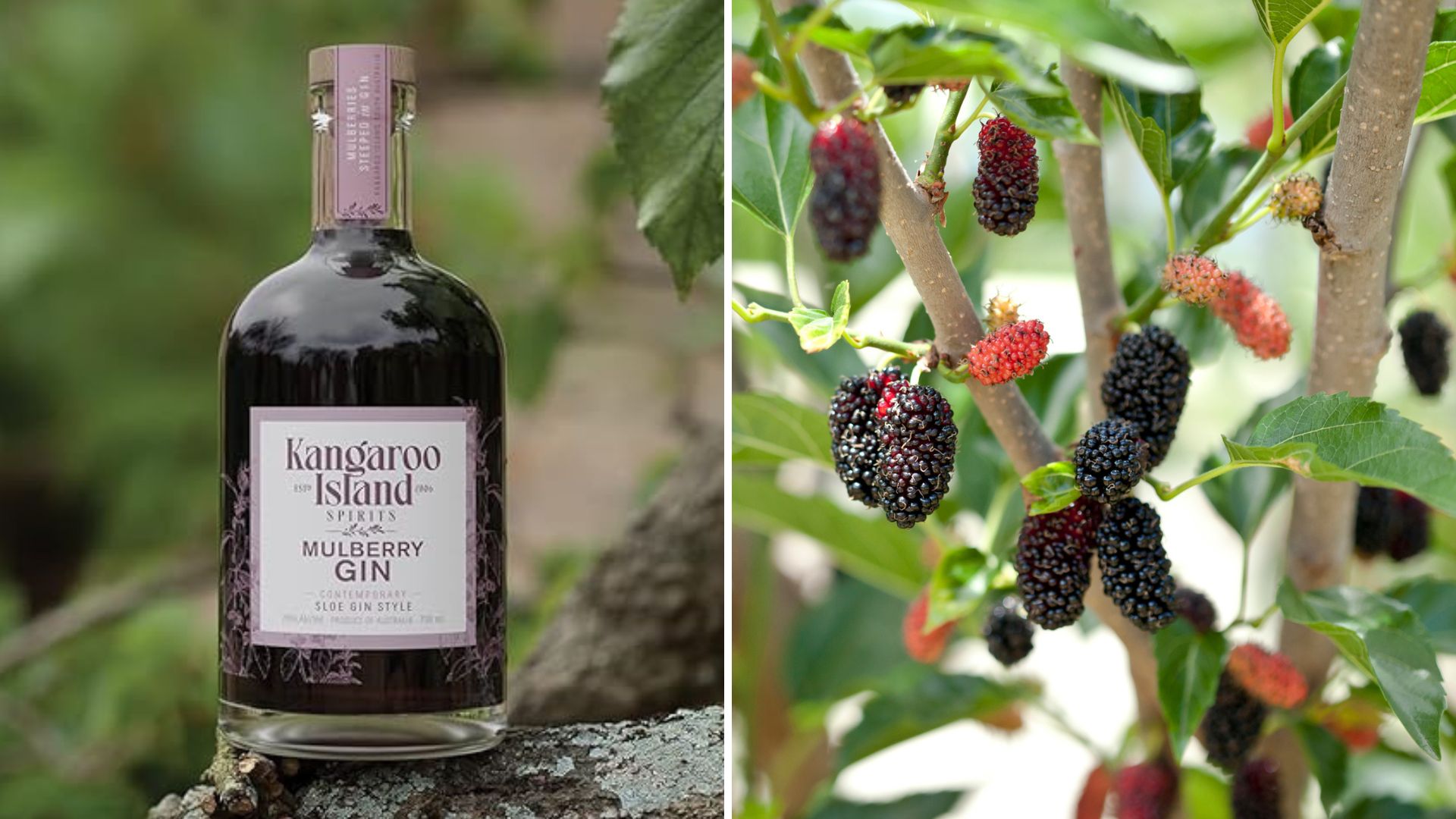 What do you discount mix with mulberry gin