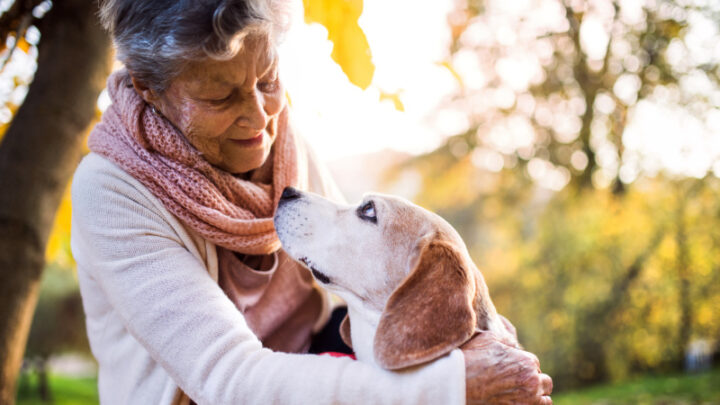 Longevity secrets of dogs unleashed: Which furry friend will remain by your side the longest?