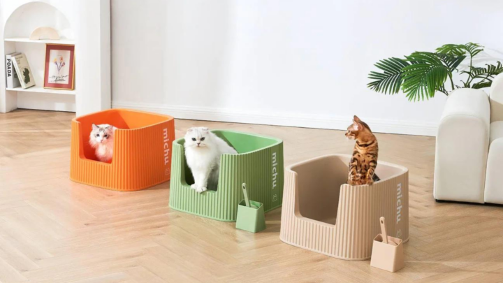How to transform your home into a stylish cat haven for you and your feline friends