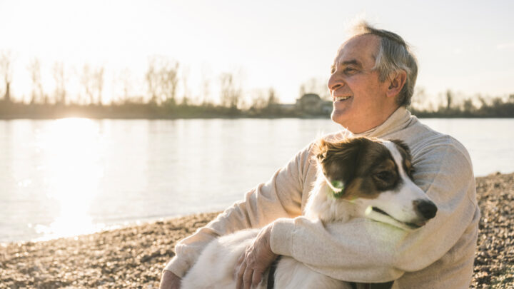 Pet parents should take their precious companion to the vet as soon as they notice these warning signs. Source: Getty Images. 