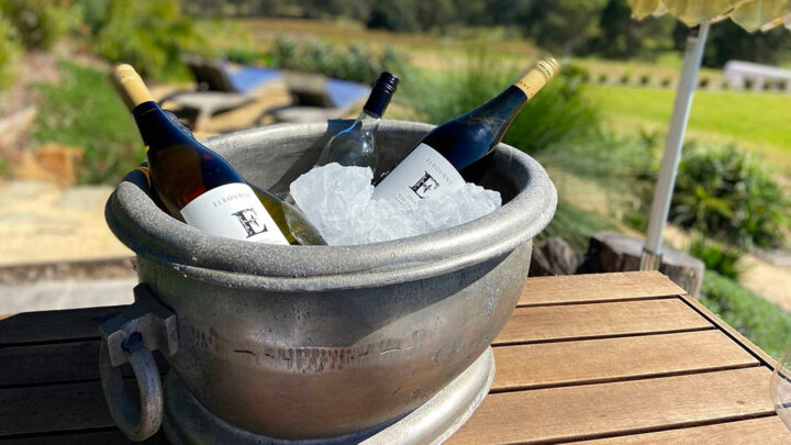 Meet the Winemaker: Elbourne Wines