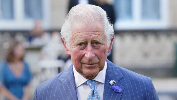 While recent reports may be cause for alarm, Charles' team has assured royal fans that the Monarch's health will remain a top priority. Source: Getty Images. 