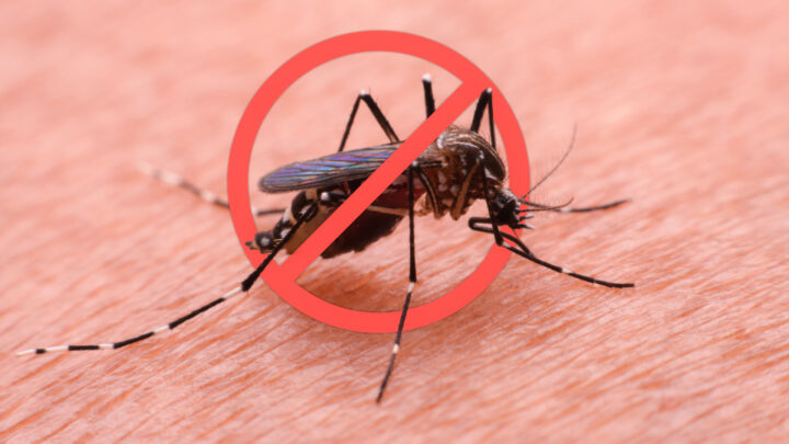 Bid farewell to irritating mozzies with just two simple steps.  Source: Getty Images.