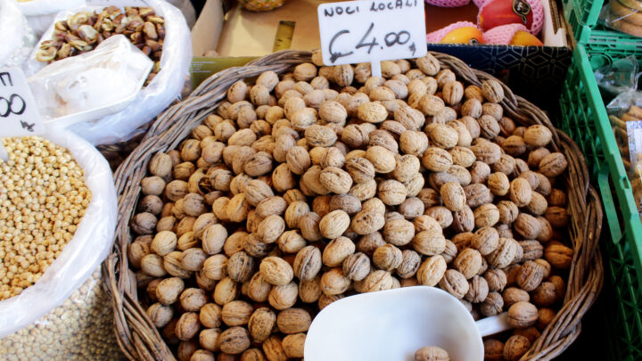 Australian scientists found that regularly eating nuts helped older adults maintain a healthy lifespan. Source: Getty Images. 