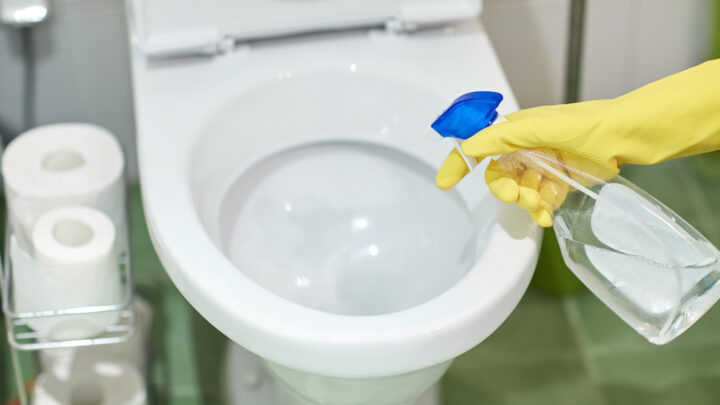 Sick of scrubbing the toilet? So was one Aussie mum who recently discovered a brilliant, no-scrub solution. Source: Shutterstock. 