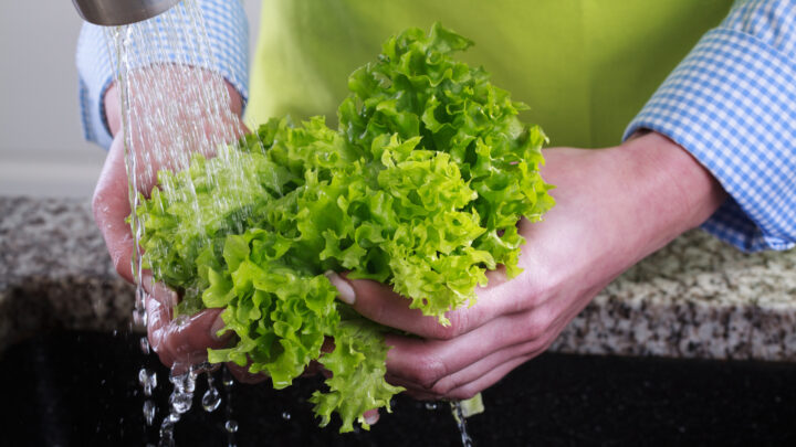 Keep lettuce fresh in the fridge with a trick "that works every time." Source: Shutterstock Basic. 