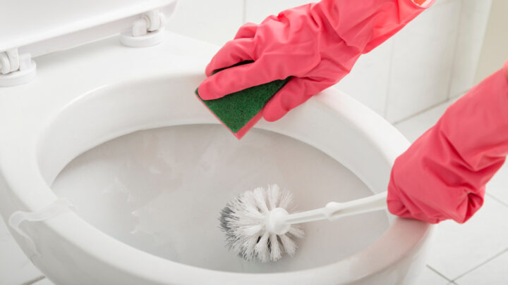 Still dealing with stubborn bathroom odors? The secret to a fresher toilet might be simpler than you think. Source: Getty Images. 