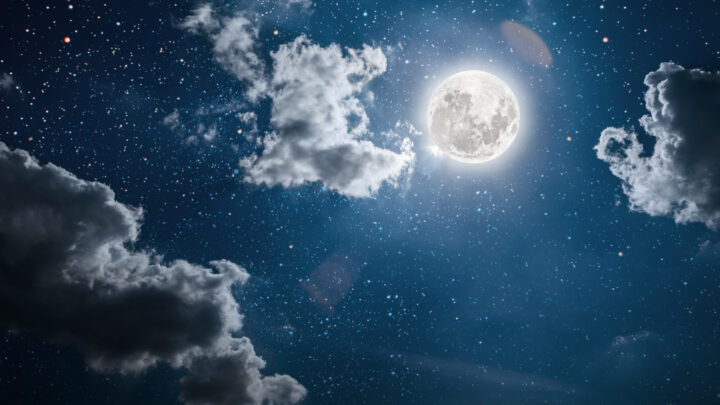 Source: Shutterstock Basic. 