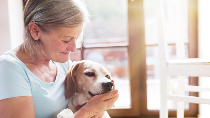 Scientists studied four common household pets and found that two — in particular — had a clear, positive effect on their owners’ brain health. Source: Shutterstock Basic. 