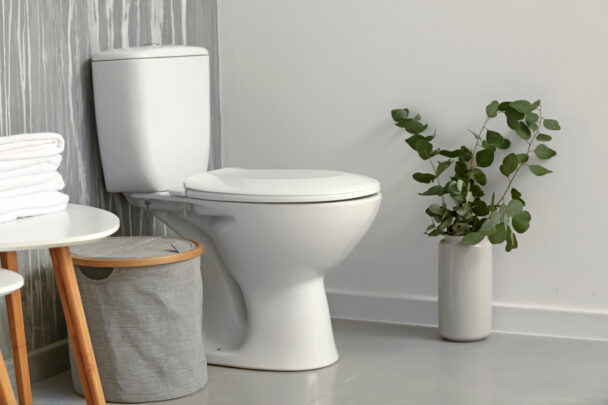 A professional cleaner shared which is the worst tool for clean toilets. Image: Shutterstock Basic.