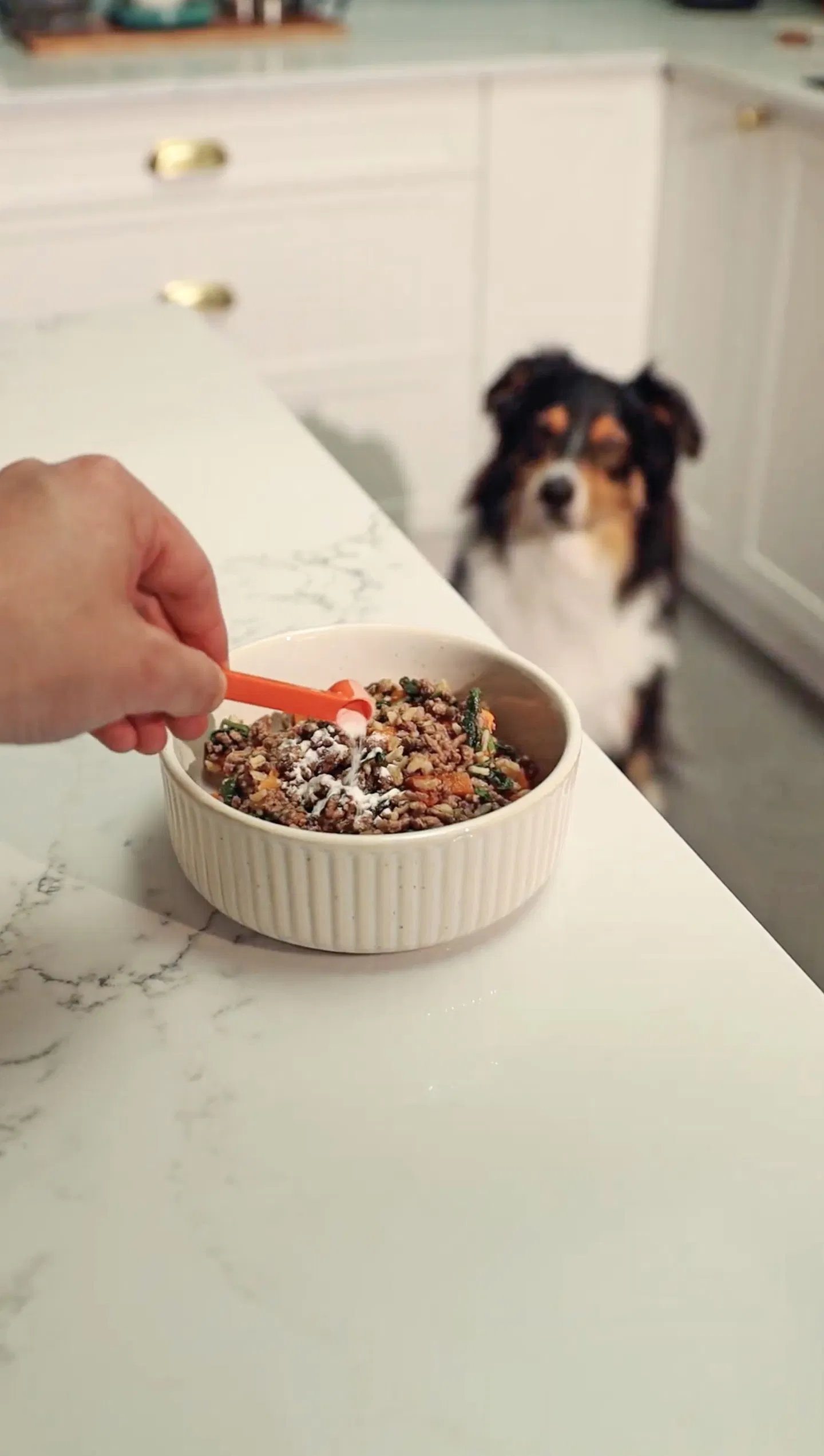 The Aussie brand that’s changing pet health one bowl at a time