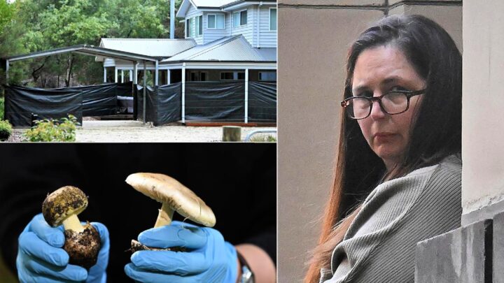 Mushroom murderer to lodge appeal against convictions - Starts at 60