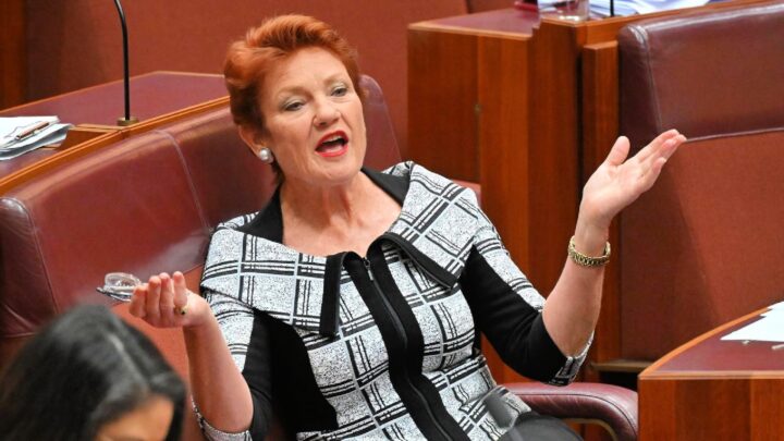 Hanson's tweet 'unfit for afternoon tea but not racist' - Starts at 60