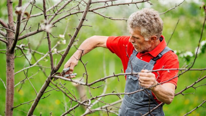 Top 9 High-Paying & Flexible Jobs for Australians 60+ in 2026 – Boost Your Retirement Income!