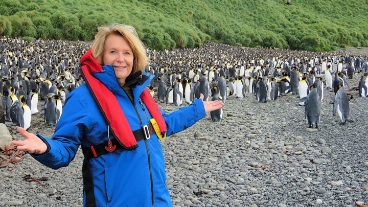 You’ve earned this trip: why the sub-Antarctic islands are more accessible for older travellers than you think