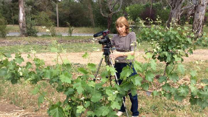 Village to Villa: Who could resist a day amongst the vines?